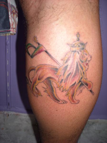 lion de juda